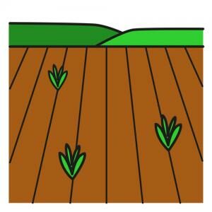 05-field-icon